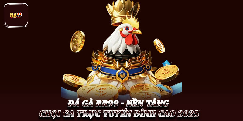 Đá Gà RR99 - Nền Tảng Chọi Gà Trực Tuyến Đỉnh Cao 2025 1 Đá Gà RR99 - Nền Tảng Chọi Gà Trực Tuyến Đỉnh Cao 2025