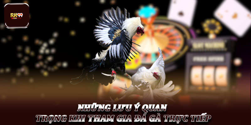 Đá gà trực tiếp – Hình thức giải trí hấp dẫn được ưa chuộng 5 Những lưu ý quan trọng khi tham gia đá gà trực tiếp