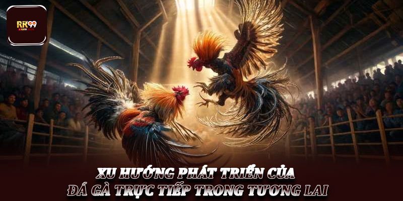 Đá gà trực tiếp – Hình thức giải trí hấp dẫn được ưa chuộng 6 Xu hướng phát triển của đá gà trực tiếp trong tương lai